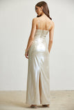 Silver Metallic Long Dress Back View