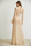 Sheer Maxi Dress Nude Color Back View