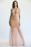 Aaliyah Tulle Fabric Dress